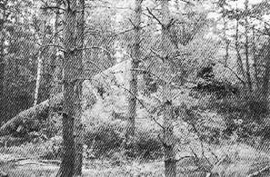 5_Kapitel-IV_Bild-26.jpg